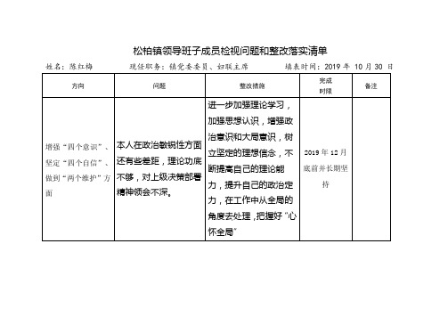 领导班子个人检视问题和整改落实清单