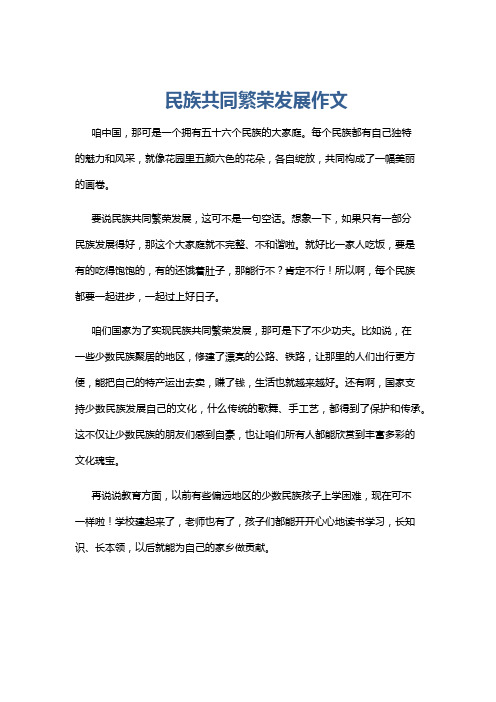 民族共同繁荣发展作文