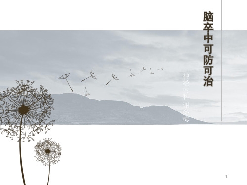 脑卒中健康宣教PPT幻灯片