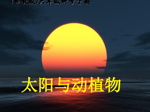 六年级科学下册课件-9 太阳与动植物13-鄂教版
