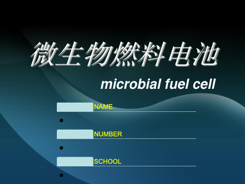 生物燃料电池