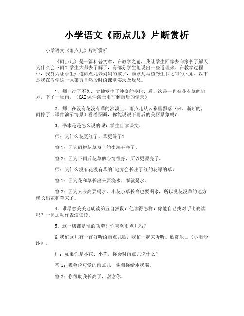 小学语文《雨点儿》片断赏析