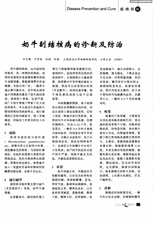 奶牛副结核病的诊断及防治