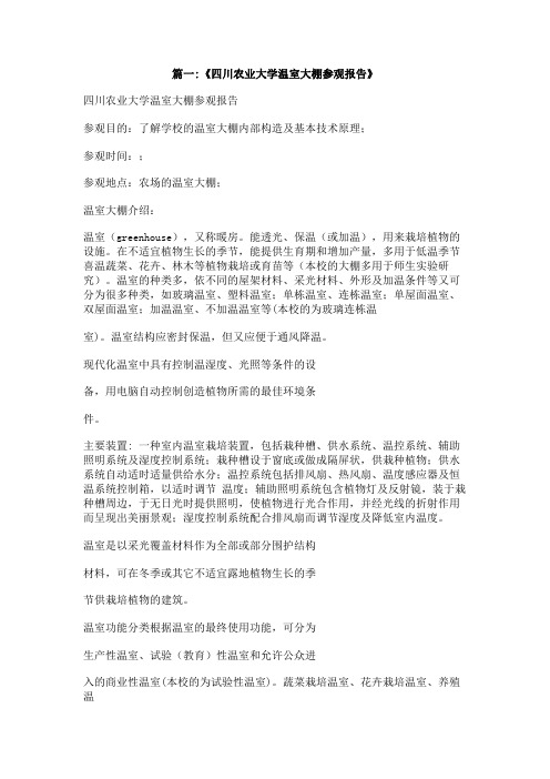 关于参观大棚的作文500