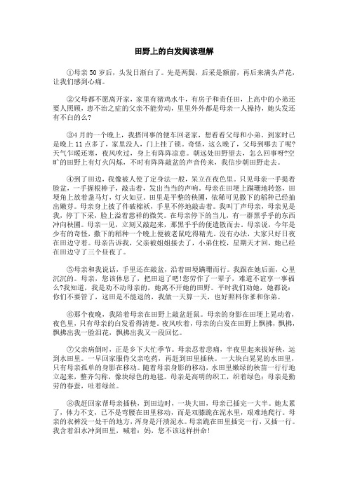 田野上的白发 阅读答案