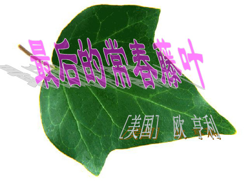 最后的常春藤叶学考复习复习