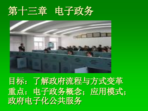 第十四章电子政务公共管理学,讲义