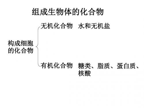 组成生物体的化合物ppt12 精品课件