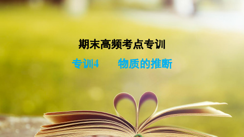 鲁教版化学九年级下册期末高频考点专训 专训4 物质的推断