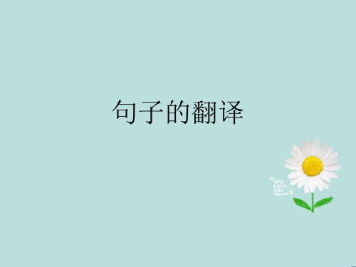 翻译技巧