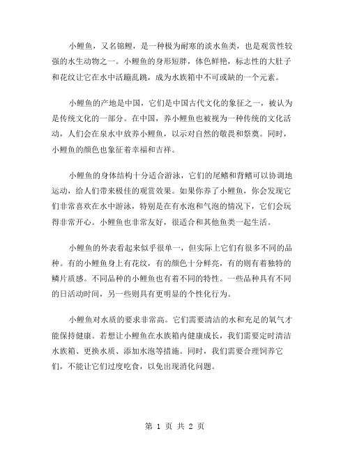 小鲤鱼作文范文