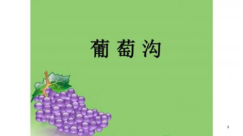 最新二年级语文上册课件-11 葡萄沟 -人教版部编版(共29张PPT)