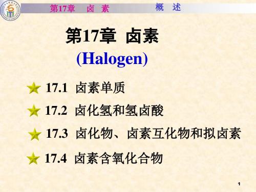 卤素ppt课件