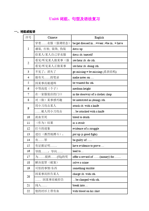 安中学：Unit 6 Detective stories(词组、句型及语法复习)同步素材(文字版)(牛津译林版九年级上册)