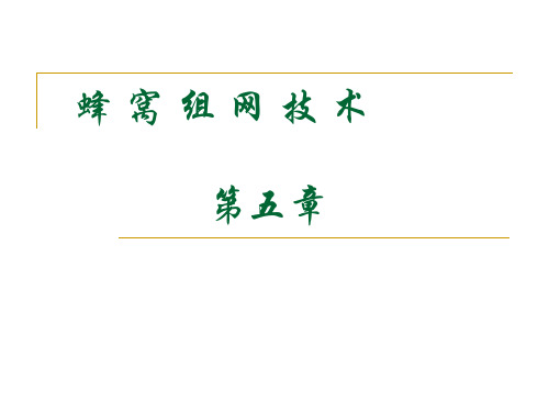 第五章 蜂窝组网技术