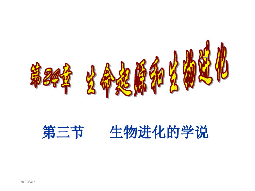 24.3生物进化的学说(苏教版初中生物课件)幻灯片课件
