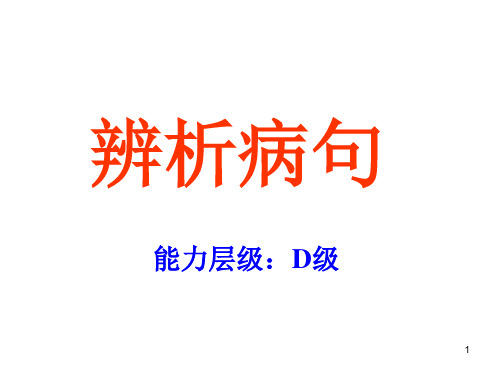 病句辨析PPT课件