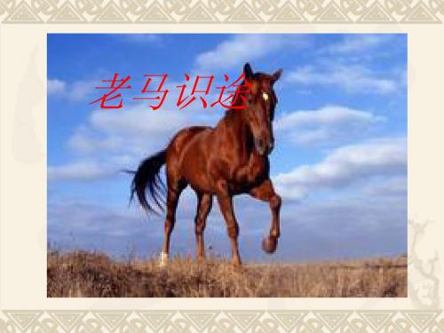 老马识途