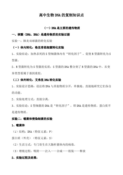 高中生物DNA的复制知识点