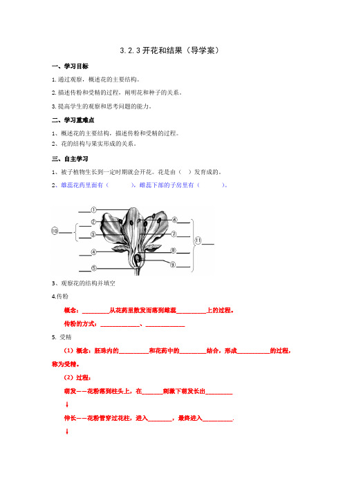 人教版七年级生物上册：3.2.3开花和结果(导学案)