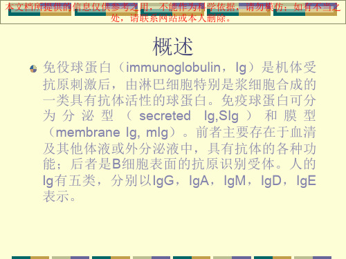 免疫球蛋白的结构和功能培训课件