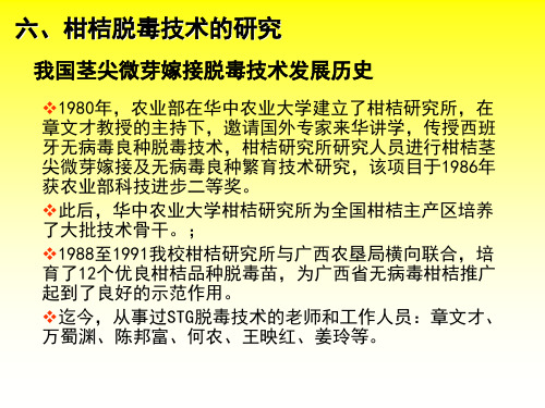柑橘脱毒技术