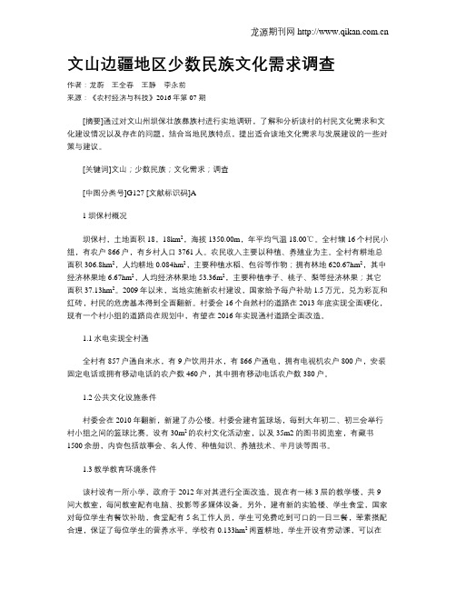文山边疆地区少数民族文化需求调查