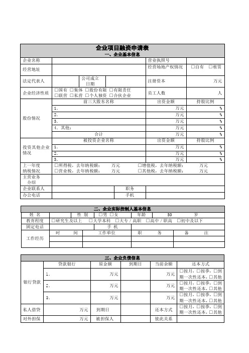 融资申请表格