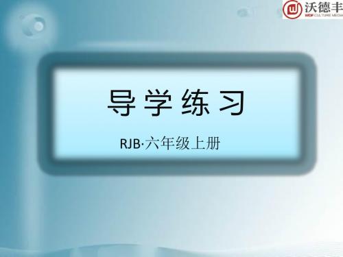 部编版六年级语文上册作业课件-22、跑进家来的松鼠