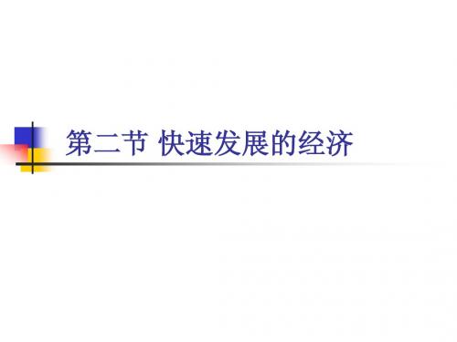 快速发展的经济