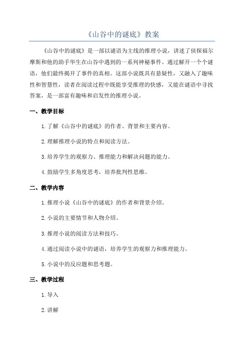 《山谷中的谜底》教案