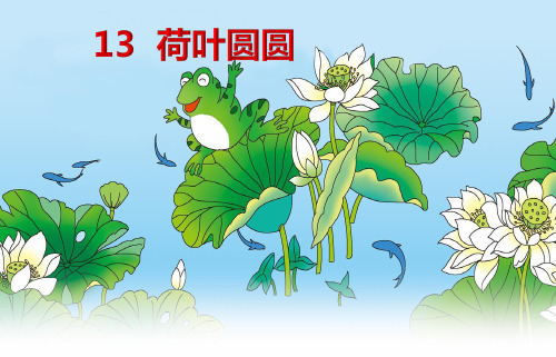 部编版一年级下13 荷叶圆圆