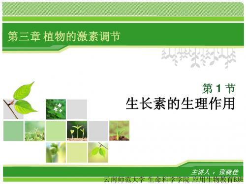 新课标人教版高中生物必修1 生长素的生理作用 课件