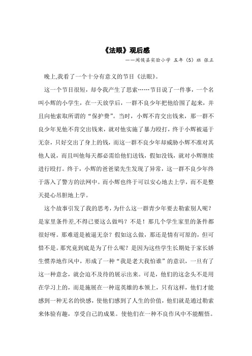 《法眼》观后感--张正