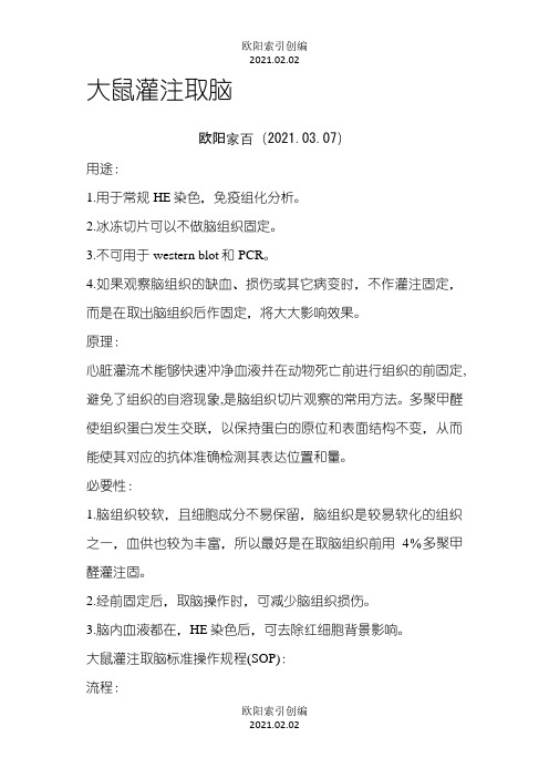 大鼠灌注取脑之欧阳索引创编