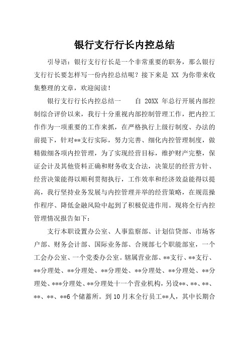 最新【总结模板】银行支行行长内控总结