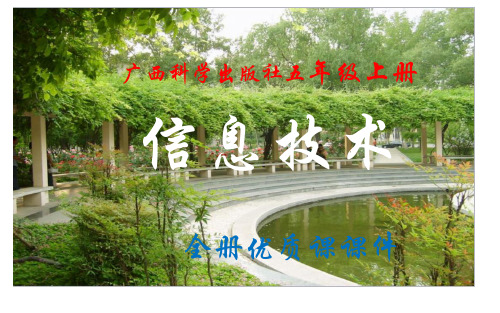 广西科学出版社《信息技术》五年级上册全册课件【精品】