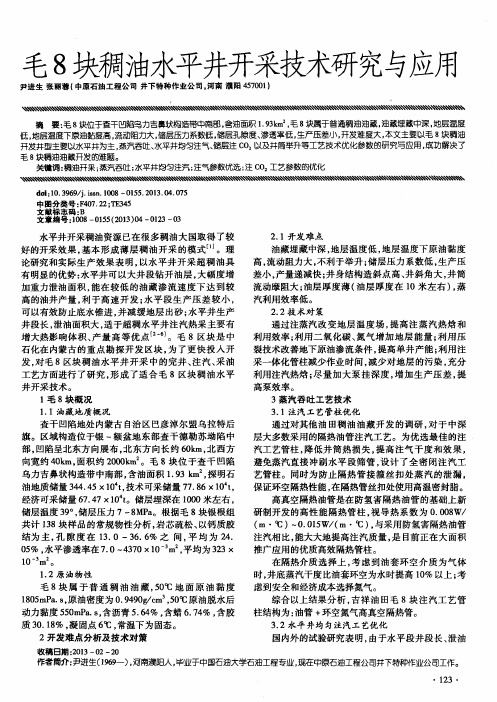 毛8块稠油水平井开采技术研究与应用