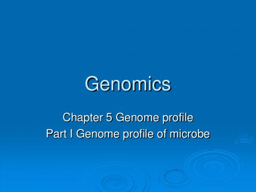 ch5 genome profile-1,2-2008-基因组学课件