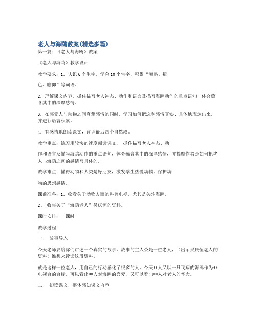 老人与海鸥教案(精选多篇)