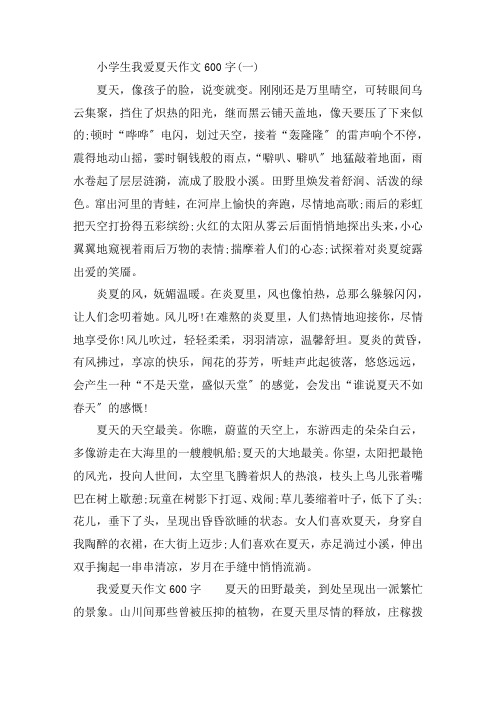 最新小学生我爱夏天作文600字5篇精选