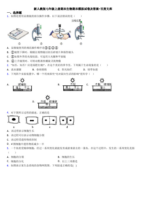 新人教版七年级上册期末生物期末模拟试卷及答案-百度文库