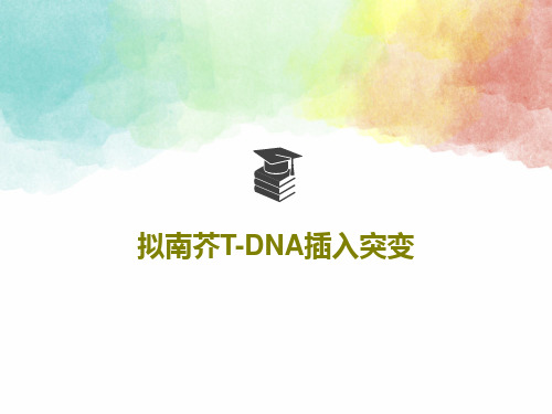 拟南芥T-DNA插入突变共58页