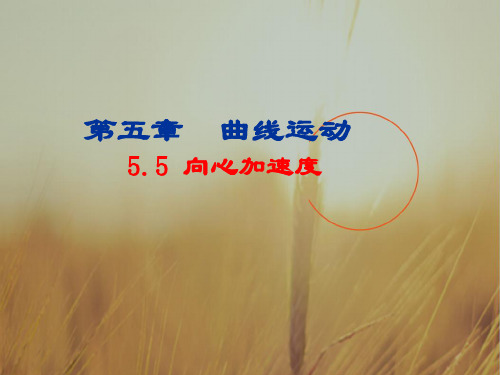 人教高一物理必修二课件-5.5-向心加速度 共14张