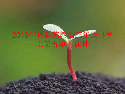 2019年秋新苏教版三年级科学上第五单元人的呼吸和消化课件