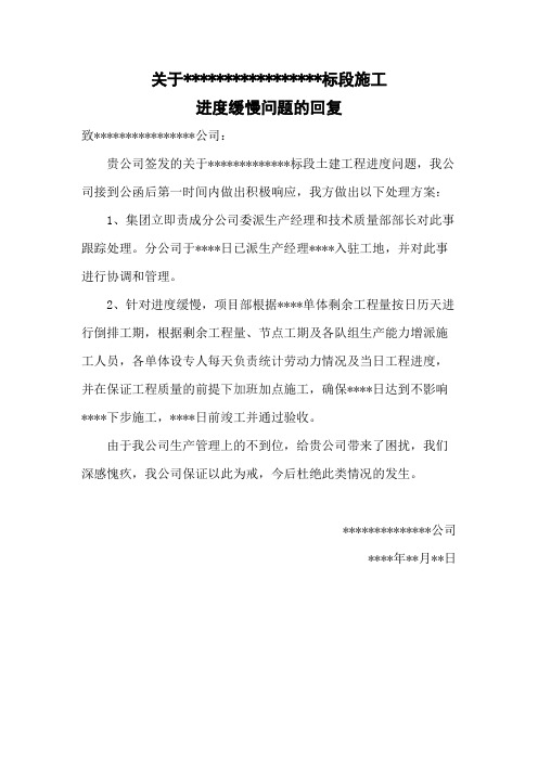关于进度问题的回复函(可编辑修改word版)