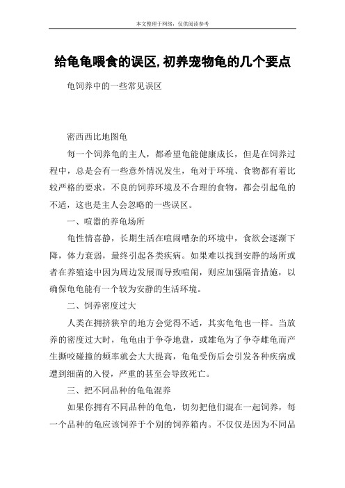 给龟龟喂食的误区,初养宠物龟的几个要点