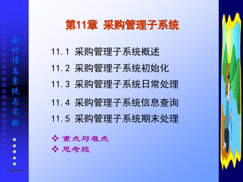会计信息系统与实验第11章采购管理子系统.ppt