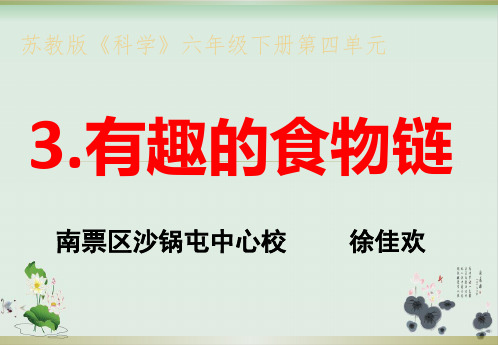 六年级下册科学课件PPT：有趣的食物链 -苏教版2