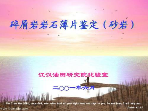 薄片鉴定培训(仅供学习参考)